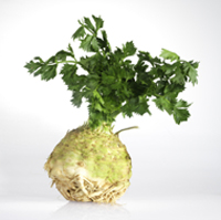 celeriac - soup image